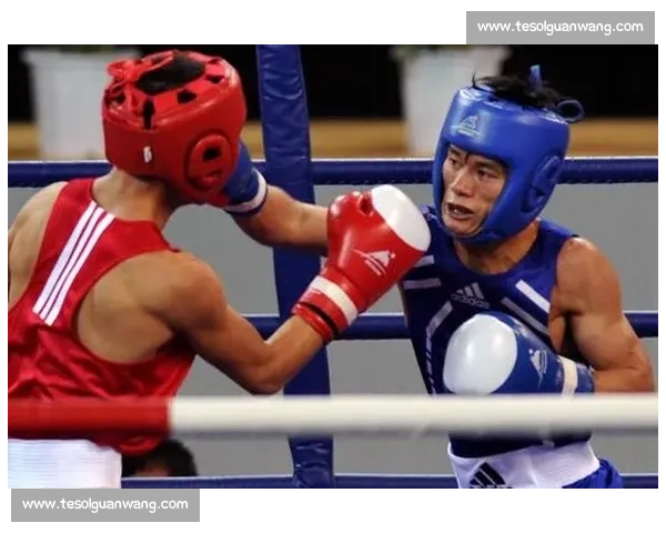 《挑战极限粉碎拳击比赛全程回顾：勇者争锋，汗水与荣耀并存》