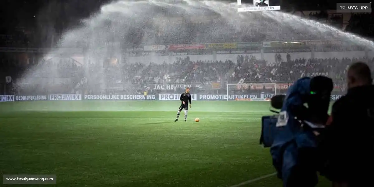 行业领先的理由